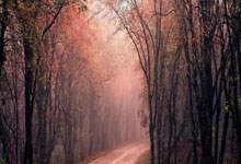 亿万28:莱万本赛季18战20球 联赛15球傲视五大联赛.