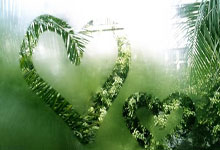 亿万28:归化国脚塞尔吉尼奥纪念国安生涯首秀:7.